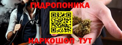 сатива Нарткала