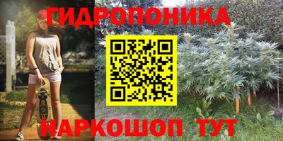 сатива Нарткала